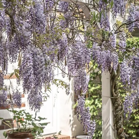 Scheunenhaus Kienspan 公寓 Tornitz