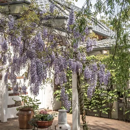 Scheunenhaus Kienspan Tornitz