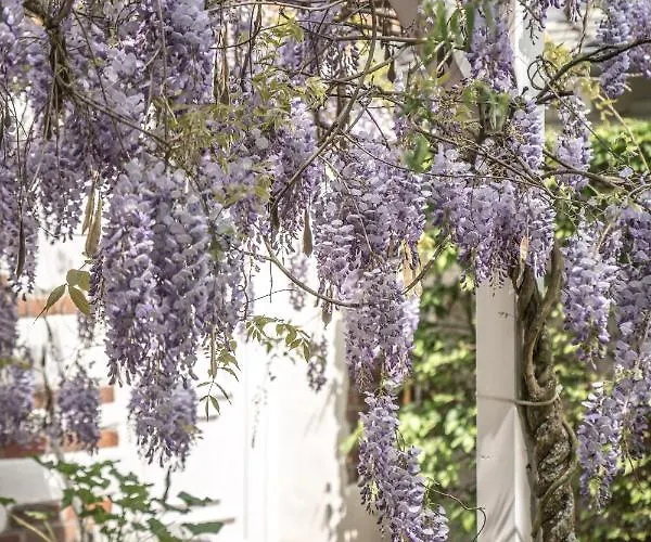 Scheunenhaus Kienspan Lägenhet Tornitz